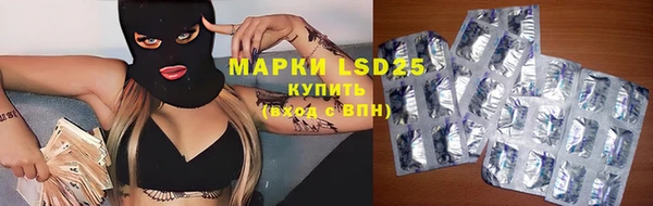 МДПВ Пересвет