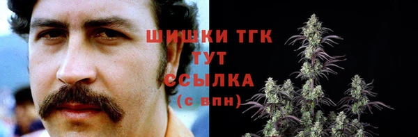 соль ск Алексин