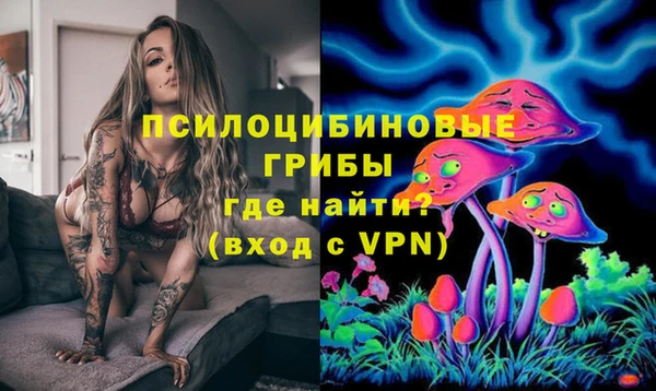 соль ск Алексин