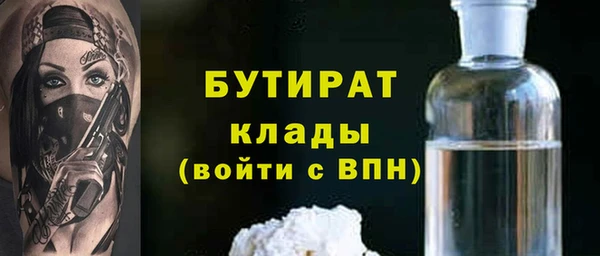 МДПВ Пересвет