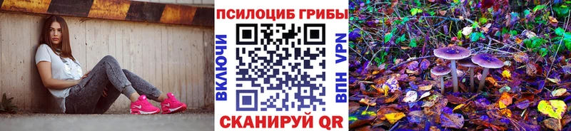 Галлюциногенные грибы Cubensis  блэк спрут сайт  Новопавловск 